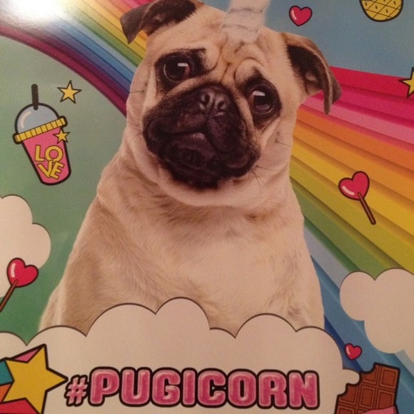 Meet your Posher, Sara - Picture 1 of 1